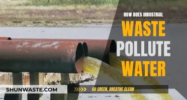 Industrial Waste's Toxic Impact: A Deep Dive into Water Pollution