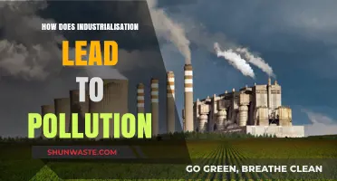 Industrialization's Dark Side: Pollution's Rise