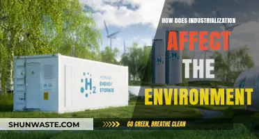 Industrialization's Environmental Impact: Pollution, Resource Depletion, and Climate Change