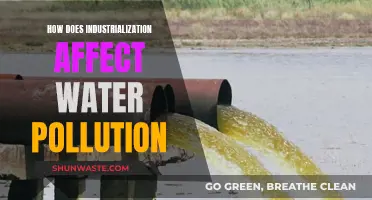 Industrialization's Water Pollution: Causes and Effects