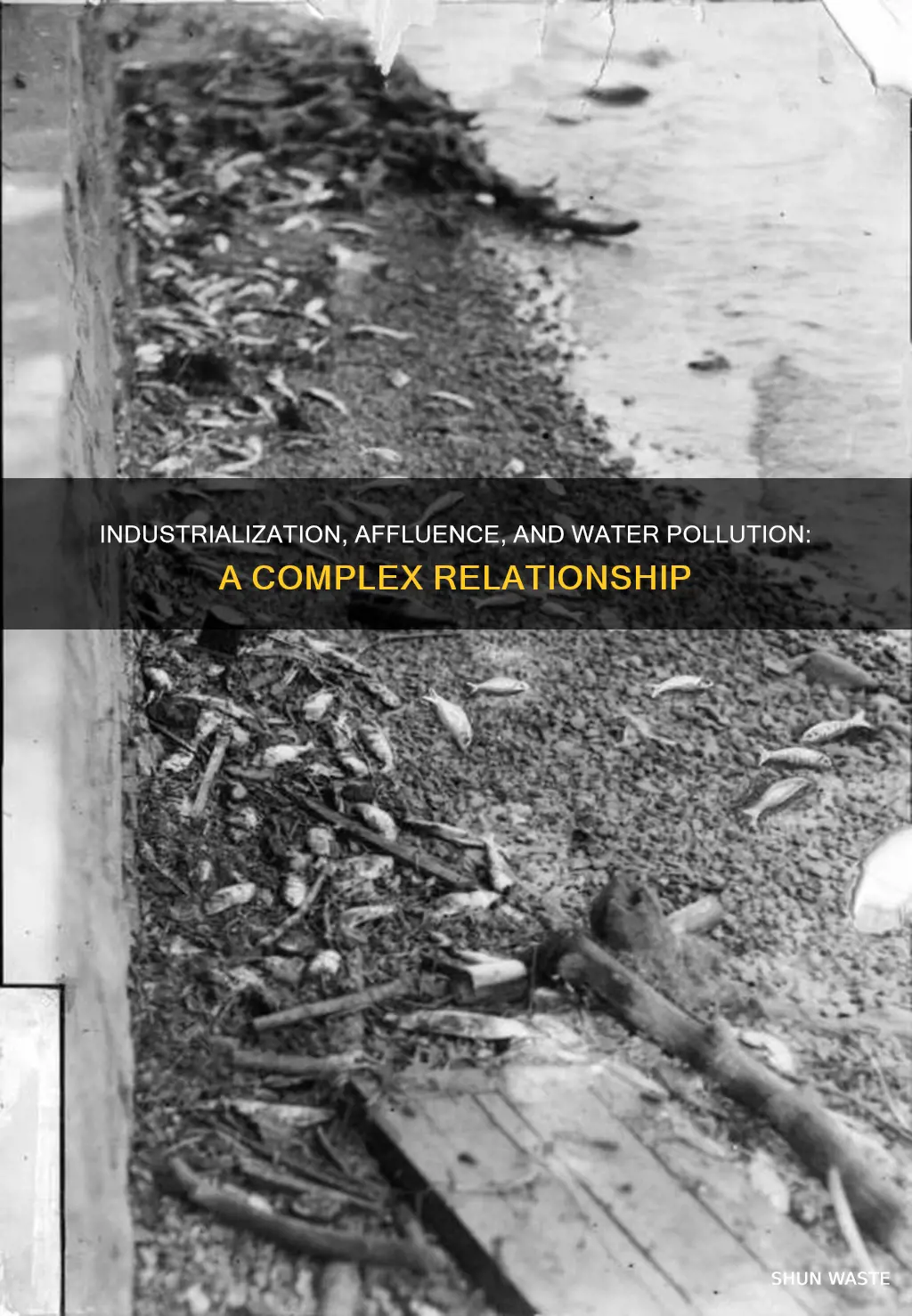 how does industrialization affluence water pollution relate