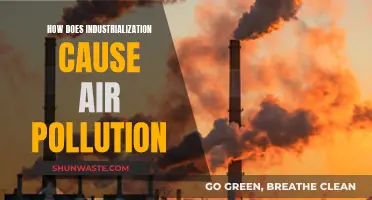 The Dark Side of Industrialization: Air Pollution's Hidden Costs