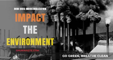 Industrialization's Environmental Toll: Pollution, Resource Depletion, and Climate Change