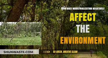 Industrialization's Dark Side: Environmental Degradation and Its Consequences