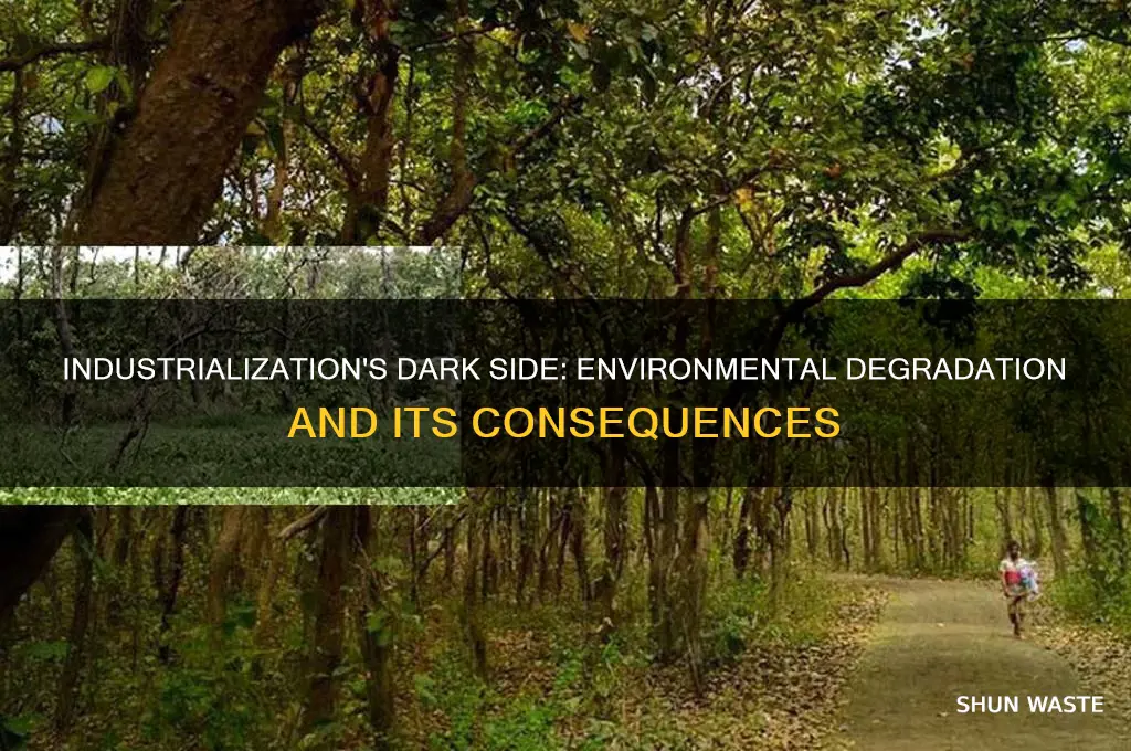 how does industrialization negatively affect the environment
