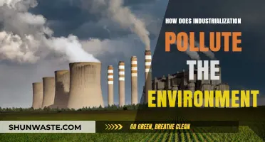Industrialization's Environmental Impact: Understanding the Pollution Crisis