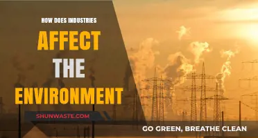 Industrial Impact: How Industries Shape and Challenge Our Environment