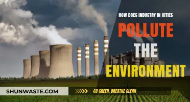Industrial Cities: Polluting the Environment