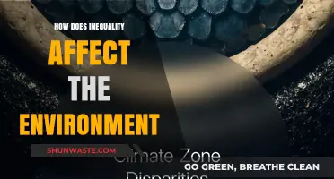 Inequality's Impact: How Social Disparity Harms Our Environment