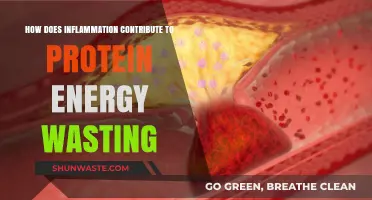 Inflammation's Role in Protein-Energy Wasting: Causes and Consequences
