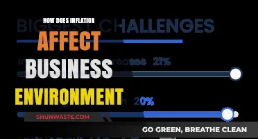 Inflation's Impact: Navigating Business Challenges in a Shifting Economy