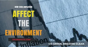 Inflation's Hidden Impact: How Rising Costs Harm Our Environment