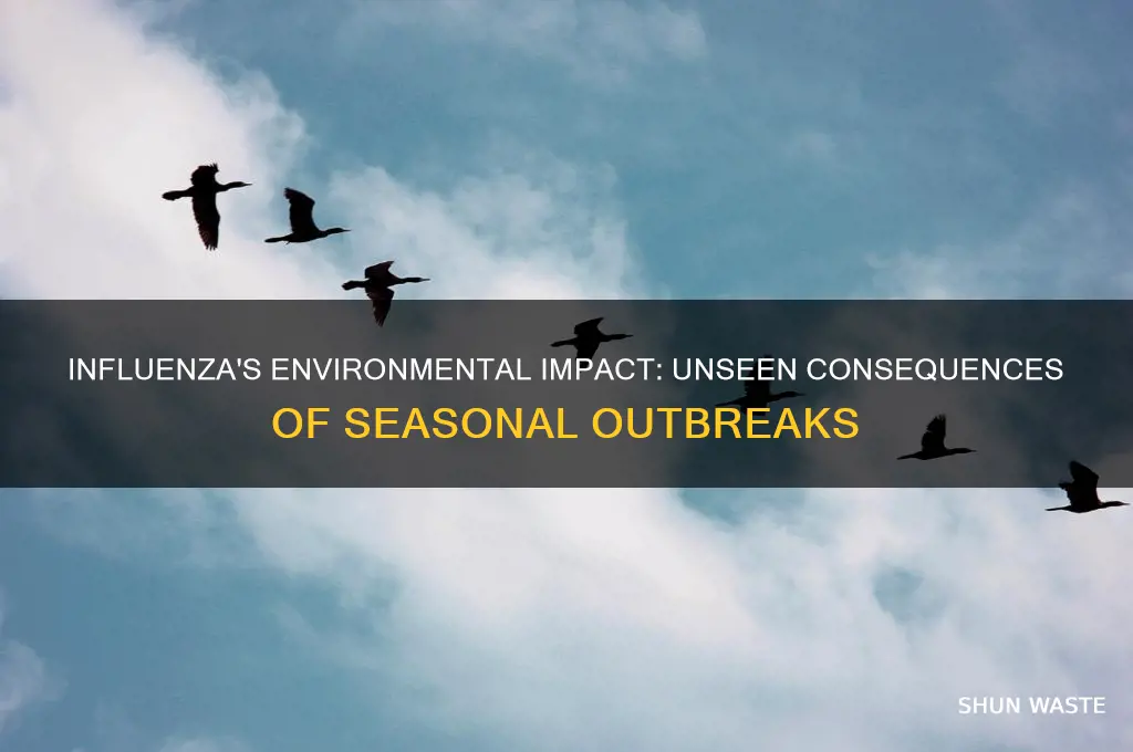 how does influenza affect the environment