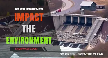 Infrastructure's Environmental Footprint: Balancing Development and Sustainability