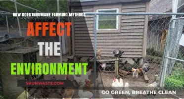 Inhumane Farming's Environmental Toll: Impacts, Consequences, and Sustainable Solutions