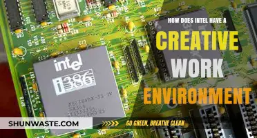 Intel's Creative Culture: Fostering Innovation and Collaboration in the Workplace