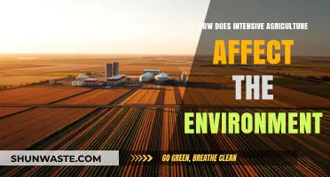 Intensive Agriculture's Environmental Impact: Soil, Water, and Biodiversity at Risk