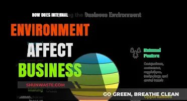 Internal Environment's Impact: Shaping Business Success and Challenges