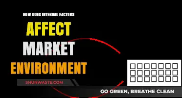 Internal Factors Shaping Market Dynamics: A Comprehensive Analysis