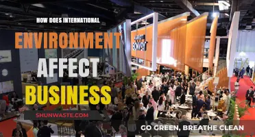 Global Shifts: How International Environments Reshape Business Strategies and Outcomes