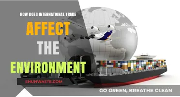 Global Trade's Environmental Impact: Challenges and Sustainable Solutions