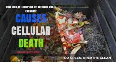 Disrupted Nutrient-Waste Exchange: A Fatal Trigger for Cellular Death