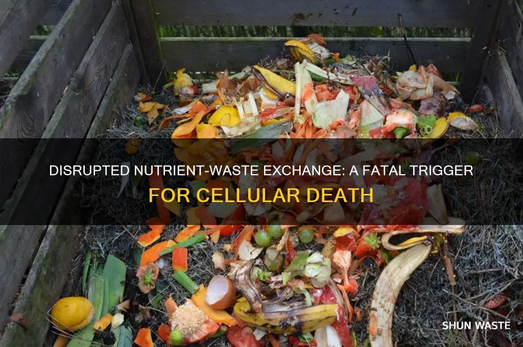 how does interruption of nutrient waste exchange causes cellular death