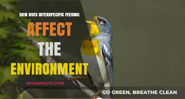 Interspecific Feeding Impacts: Unraveling Ecological Consequences and Environmental Changes