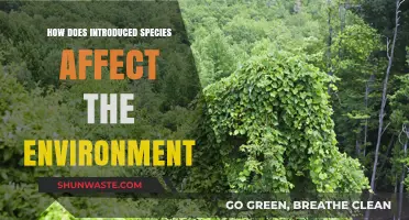 Invasive Species: Environmental Impacts and Ecosystem Disruption Explained