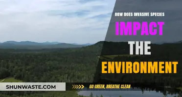 Invasive Species: Devastating Impacts on Ecosystems and Biodiversity Explained