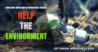 Investing in Renewable Energy: A Sustainable Path to Environmental Preservation