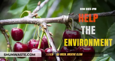 Integrated Pest Management: A Sustainable Approach to Protecting Our Environment