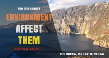 Ireland's Unique Environment: Shaping Culture, Economy, and Daily Life