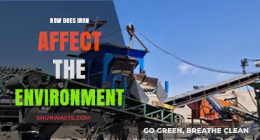 Iron's Environmental Impact: Pollution, Ecosystems, and Sustainability Challenges