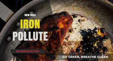 Iron Pollution: Understanding the Toxic Truth