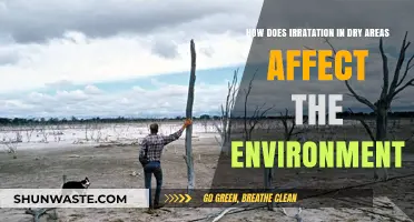 Dryland Irritation: Environmental Impacts and Ecosystem Disruption Explained