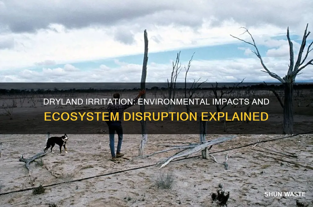 how does irratation in dry areas affect the environment