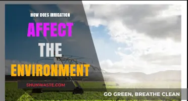 Irrigation's Environmental Impact: Benefits, Challenges, and Sustainable Practices