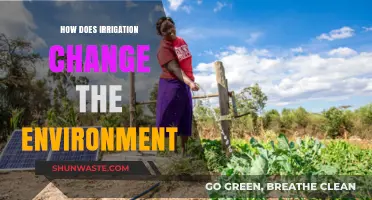 Irrigation's Impact: Transforming Ecosystems and Shaping Environmental Landscapes