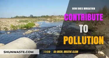 Irrigation's Pollution: The Unseen Environmental Impact