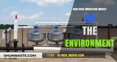 Irrigation's Environmental Impact: Benefits, Challenges, and Sustainable Practices