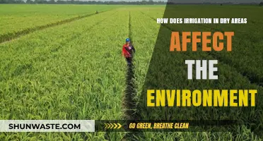 Irrigation in Arid Regions: Environmental Impacts and Sustainable Solutions