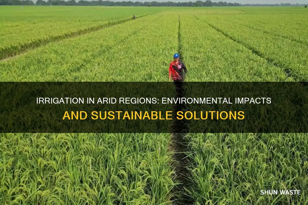 how does irrigation in dry areas affect the environment