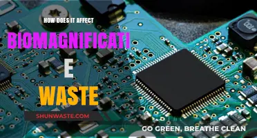 E-Waste's Toxic Legacy: Understanding Biomagnification's Impact on Ecosystems