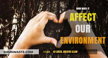 Environmental Impact: How Human Actions Shape Our Planet's Future