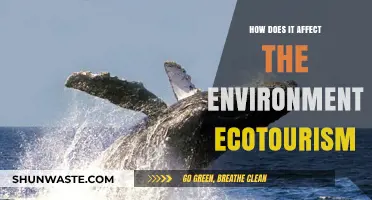 Ecotourism's Environmental Impact: Balancing Conservation and Sustainable Travel