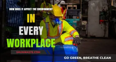 Environmental Impact in Workplaces: Sustainable Practices for a Greener Future
