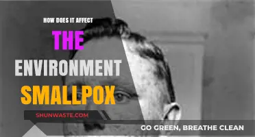 Smallpox's Environmental Impact: Uncovering the Disease's Ecological Footprint