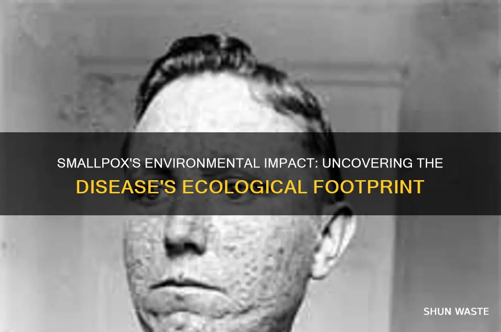 how does it affect the environment smallpox