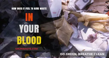 Toxic Blood: The Alarming Reality of Waste in Your Veins
